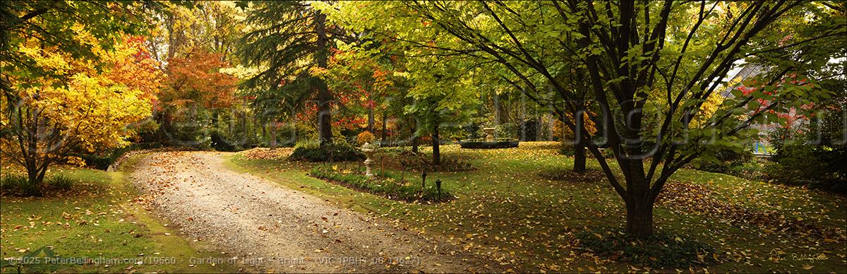 Peter Bellingham Photography Garden of Light - Bright - VIC (PBH4 00 13627)